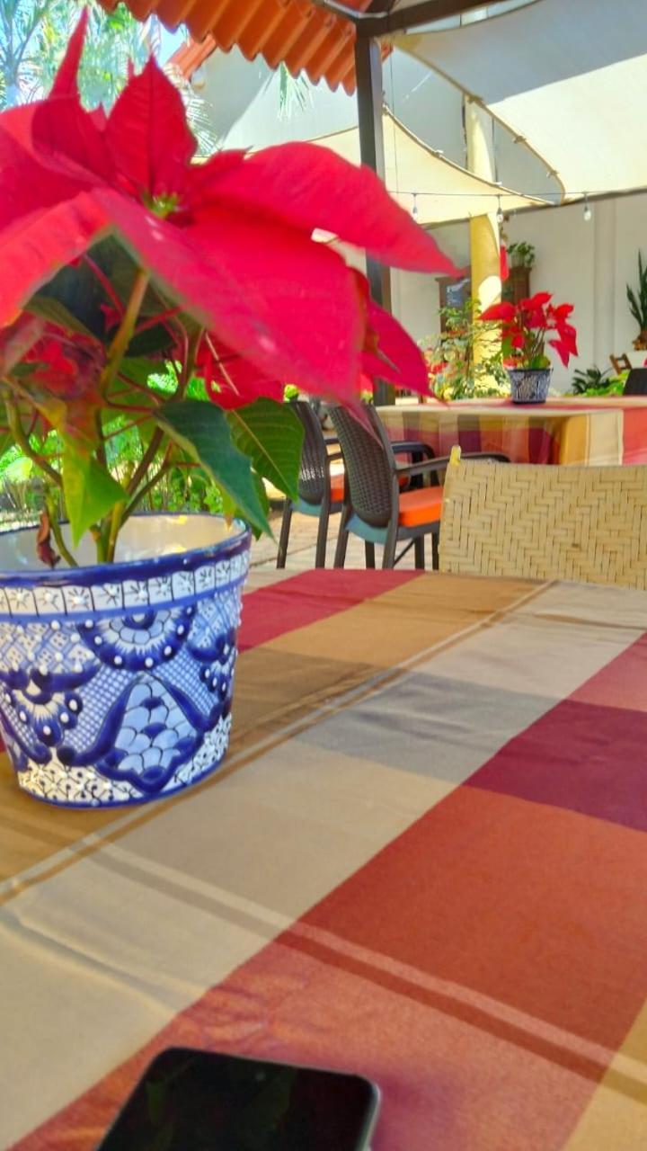 Quinta Rosita Bed & Breakfast ตีคัล ภายนอก รูปภาพ