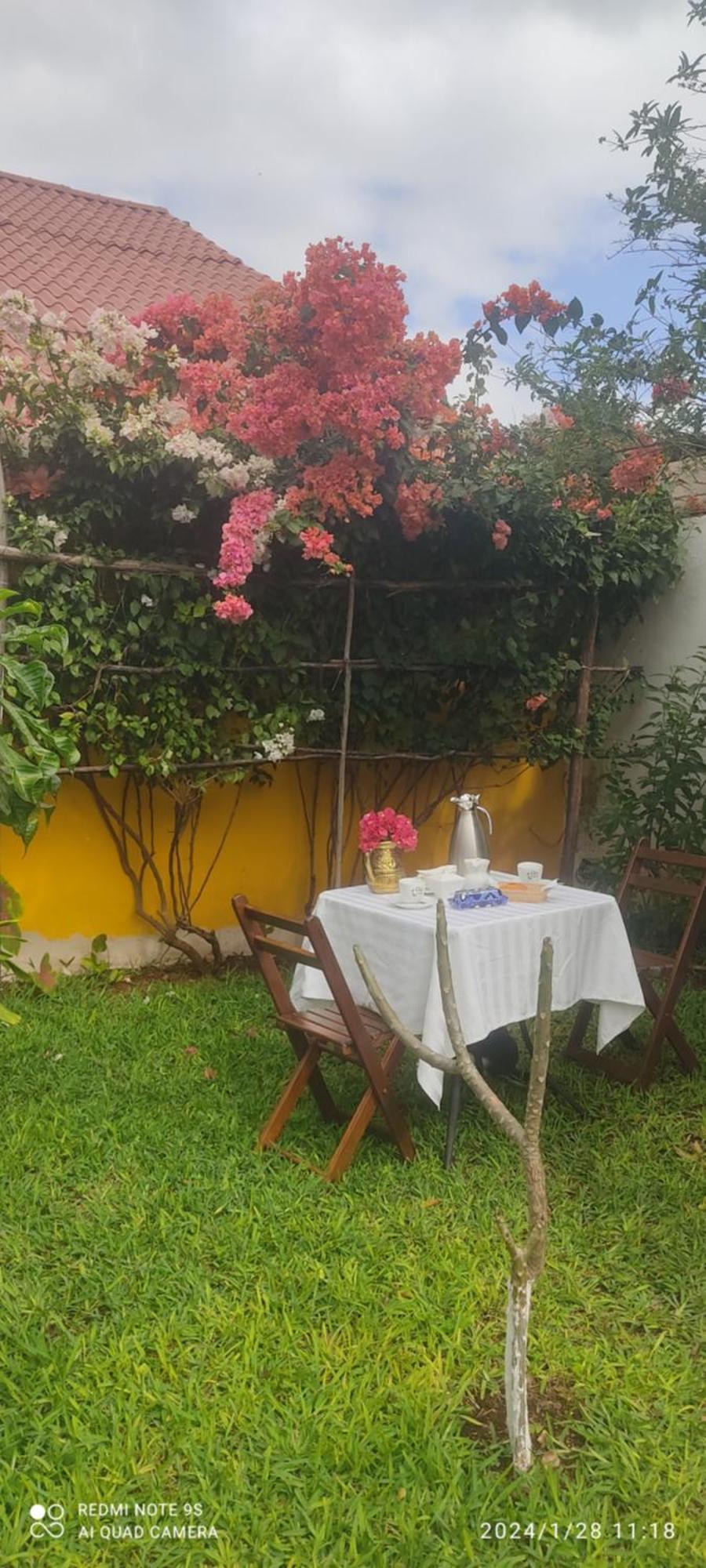 Quinta Rosita Bed & Breakfast ตีคัล ภายนอก รูปภาพ