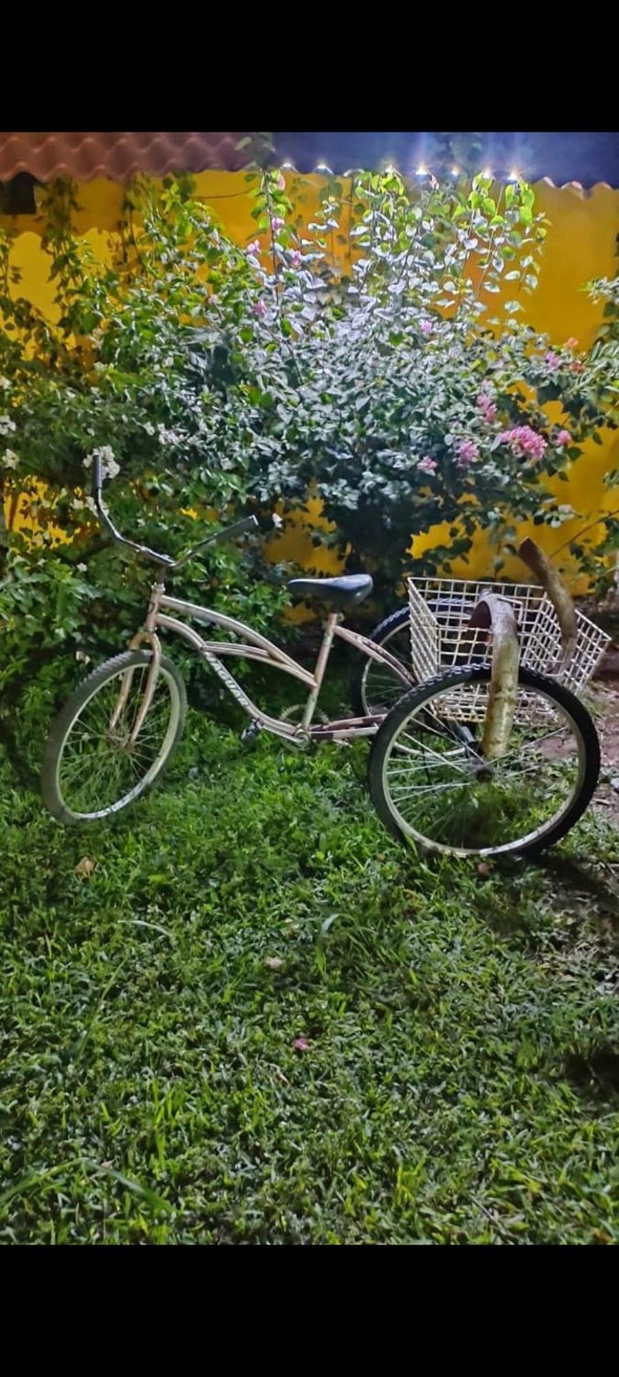 Quinta Rosita Bed & Breakfast ตีคัล ภายนอก รูปภาพ