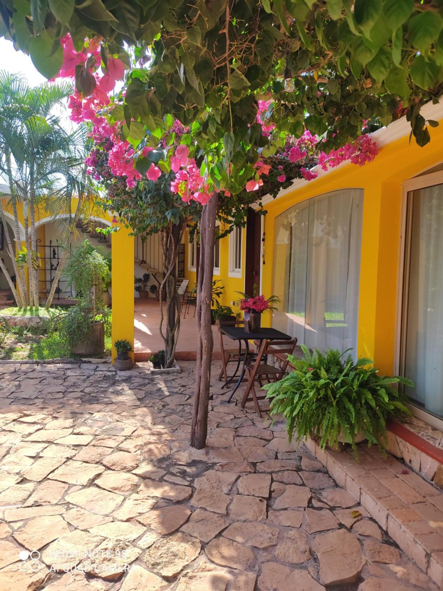 Quinta Rosita Bed & Breakfast ตีคัล ภายนอก รูปภาพ