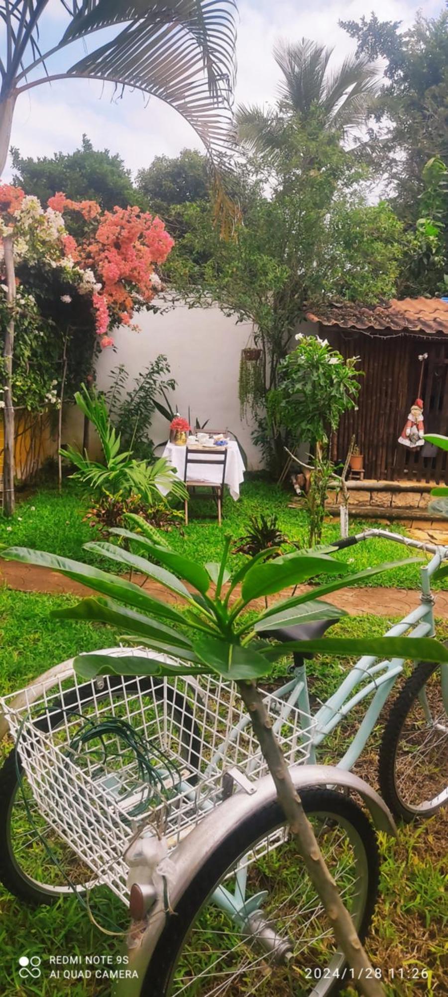 Quinta Rosita Bed & Breakfast ตีคัล ภายนอก รูปภาพ