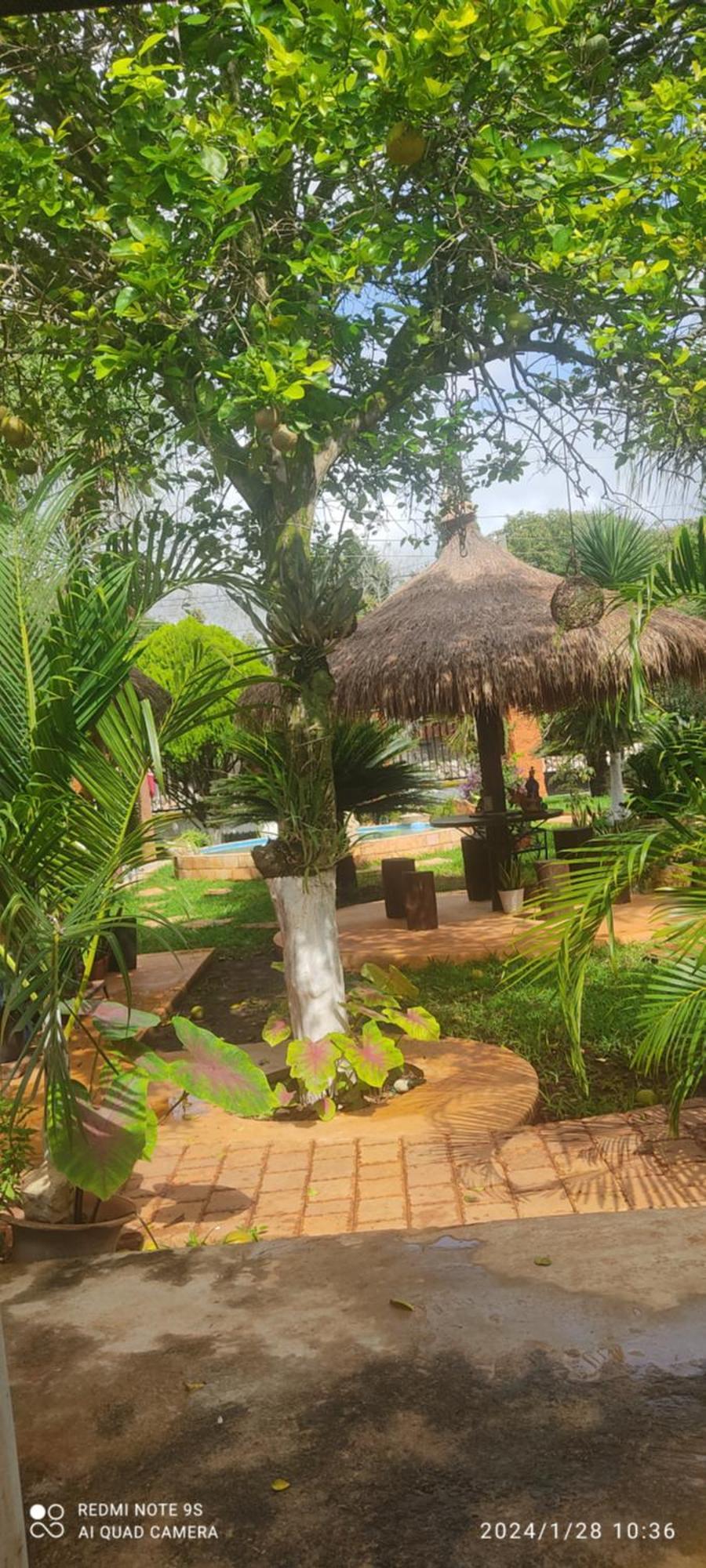 Quinta Rosita Bed & Breakfast ตีคัล ภายนอก รูปภาพ