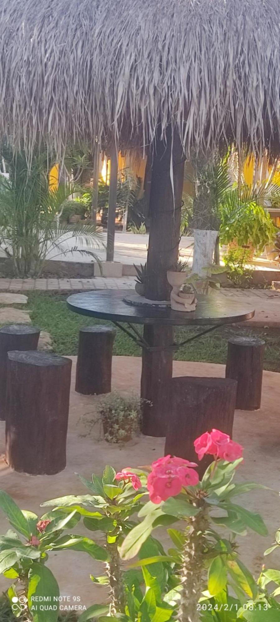 Quinta Rosita Bed & Breakfast ตีคัล ภายนอก รูปภาพ