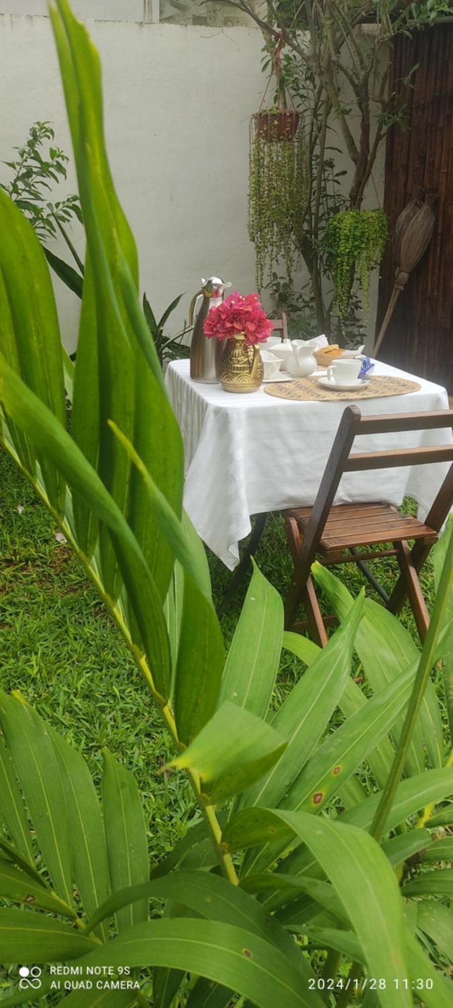 Quinta Rosita Bed & Breakfast ตีคัล ภายนอก รูปภาพ