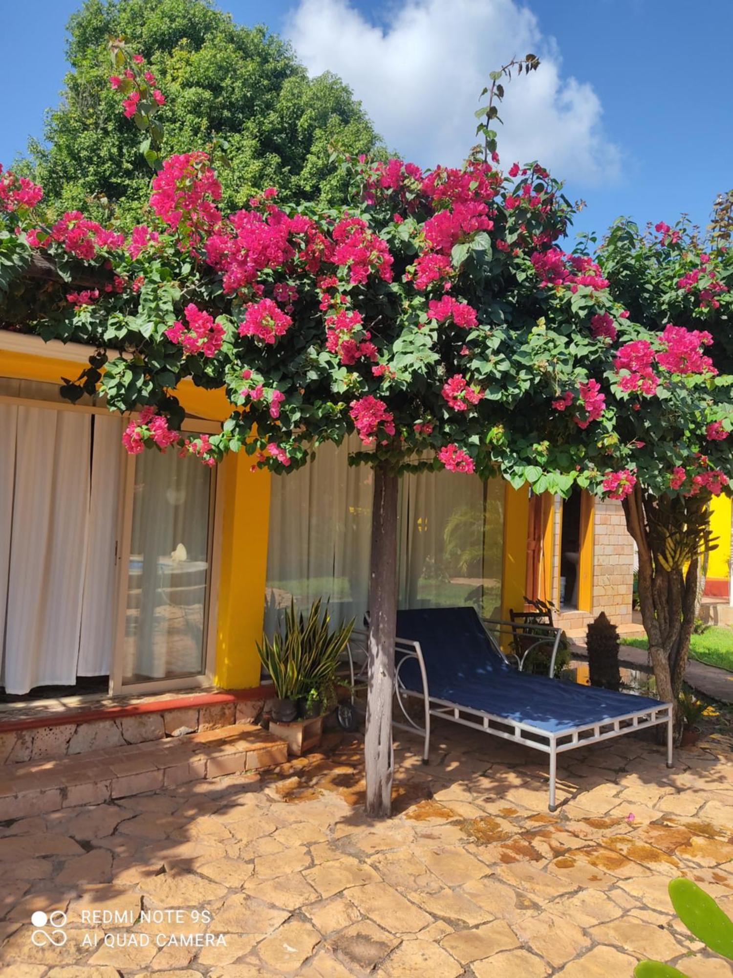 Quinta Rosita Bed & Breakfast ตีคัล ภายนอก รูปภาพ