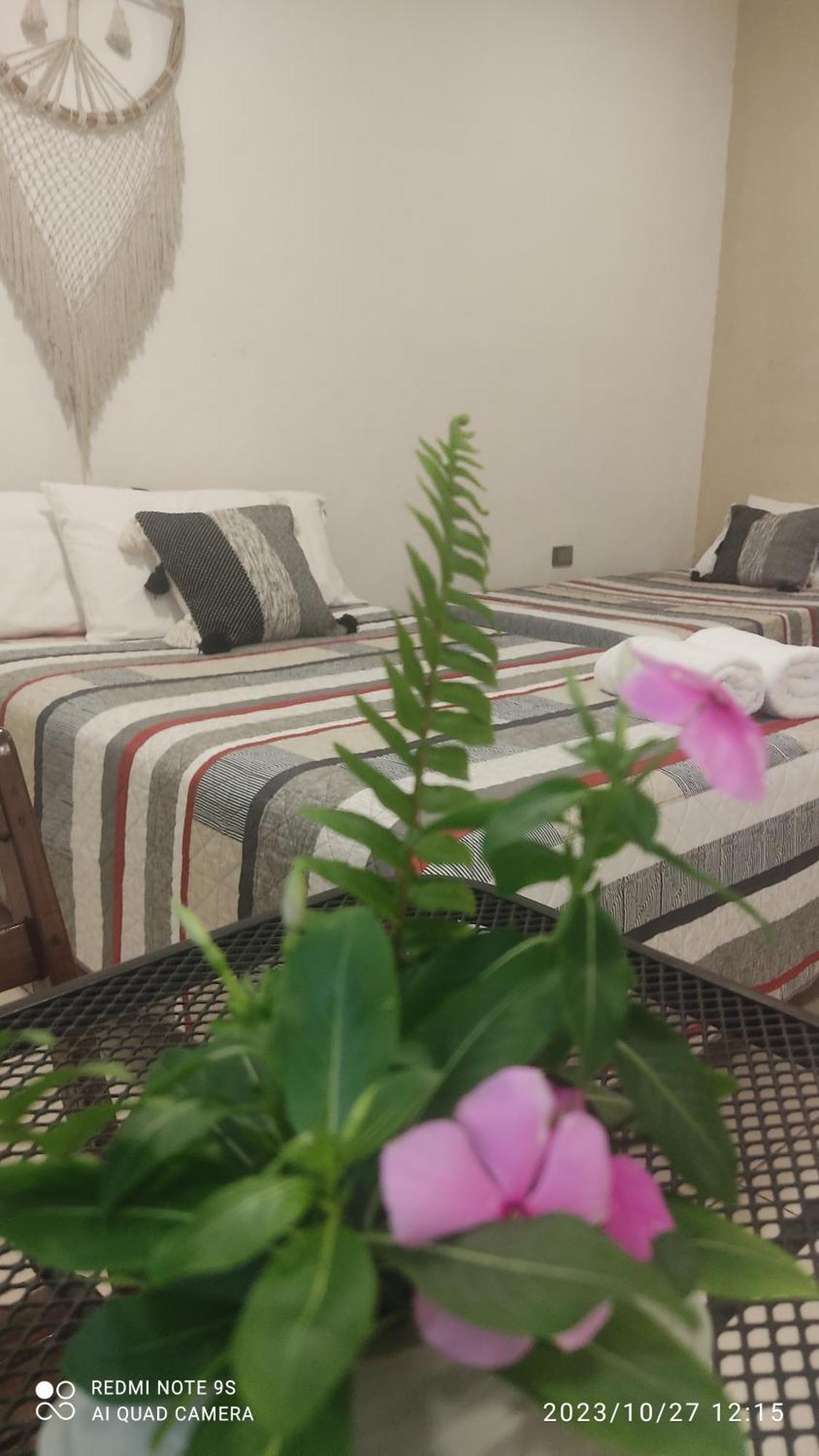 Quinta Rosita Bed & Breakfast ตีคัล ภายนอก รูปภาพ