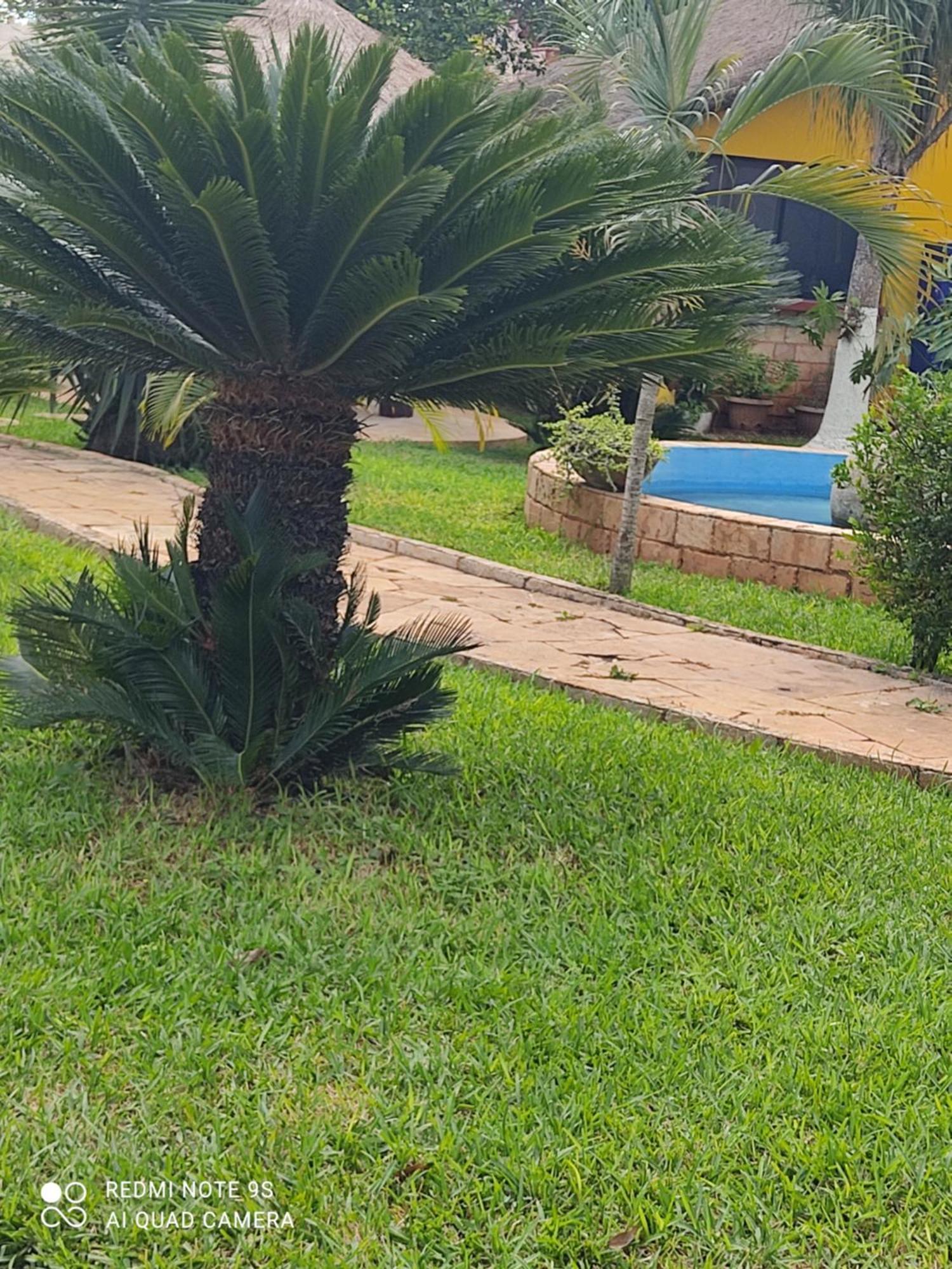 Quinta Rosita Bed & Breakfast ตีคัล ภายนอก รูปภาพ
