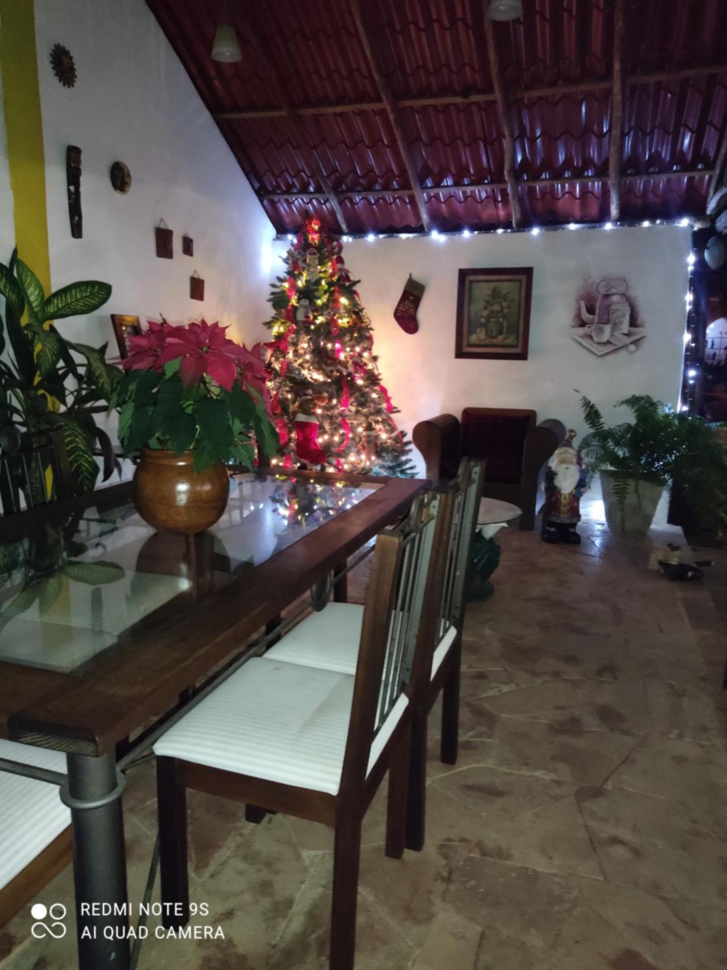 Quinta Rosita Bed & Breakfast ตีคัล ภายนอก รูปภาพ