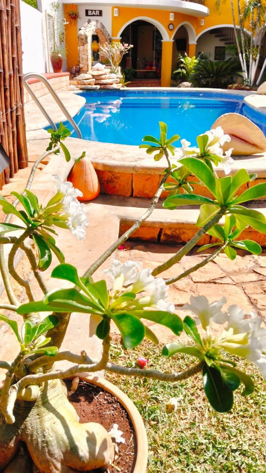 Quinta Rosita Bed & Breakfast ตีคัล ภายนอก รูปภาพ