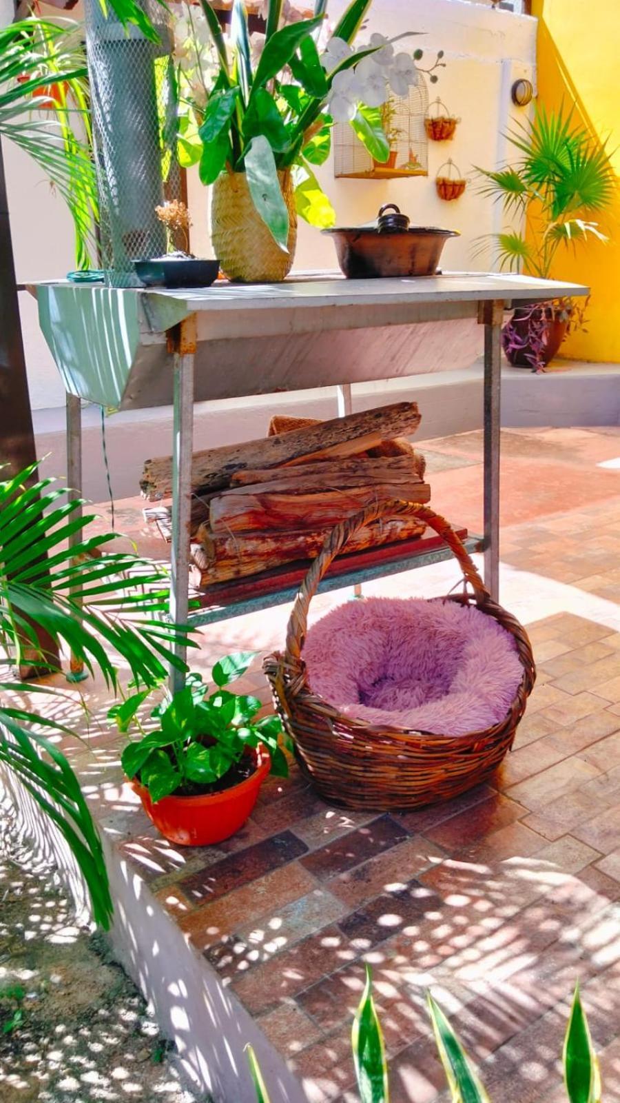 Quinta Rosita Bed & Breakfast ตีคัล ภายนอก รูปภาพ