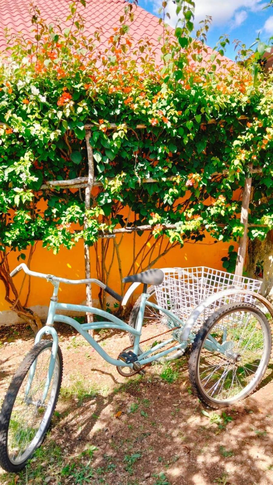 Quinta Rosita Bed & Breakfast ตีคัล ภายนอก รูปภาพ